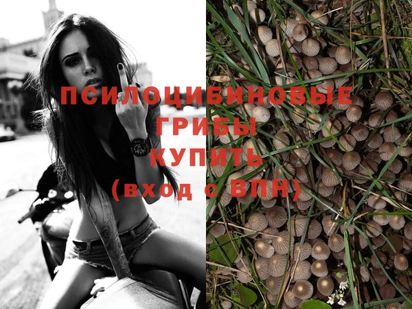 мескалин Абдулино