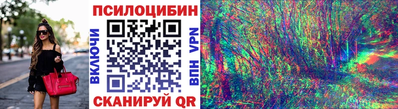 Псилоцибиновые грибы Psilocybine cubensis  Яблоновский 